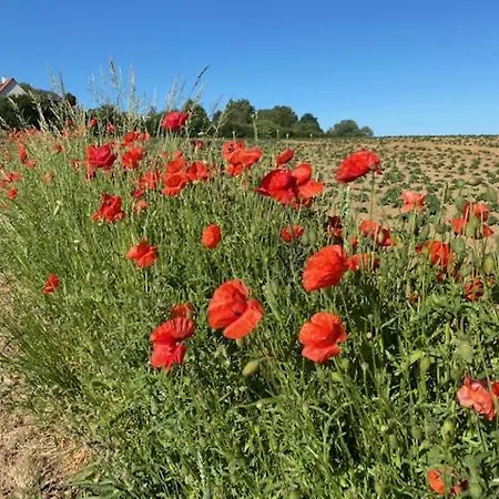 Zen Retreat Met Jacuzzi Grez-Doiceau