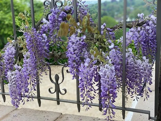 Zen Retreat Met Jacuzzi 3*